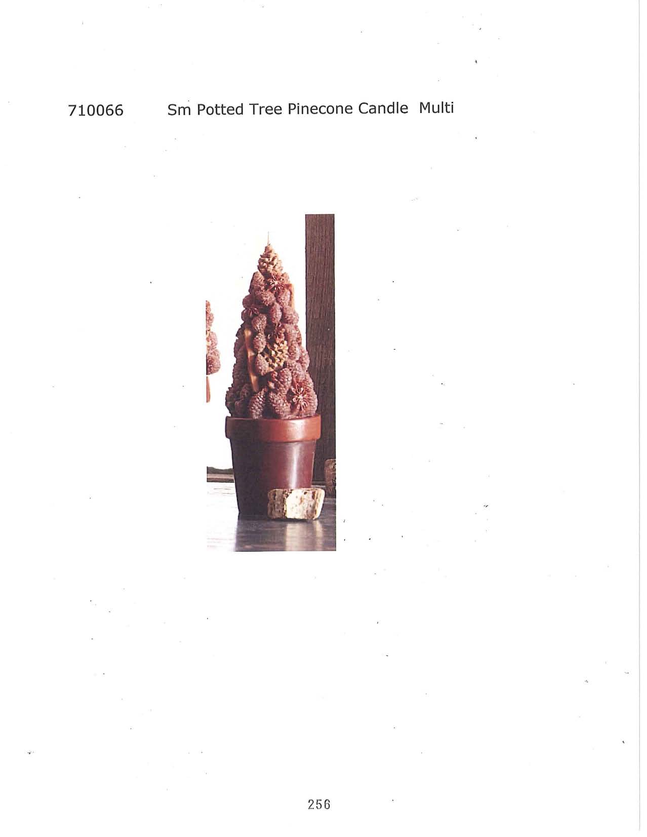 Small Potted Tree Pinecone Candle - Multi